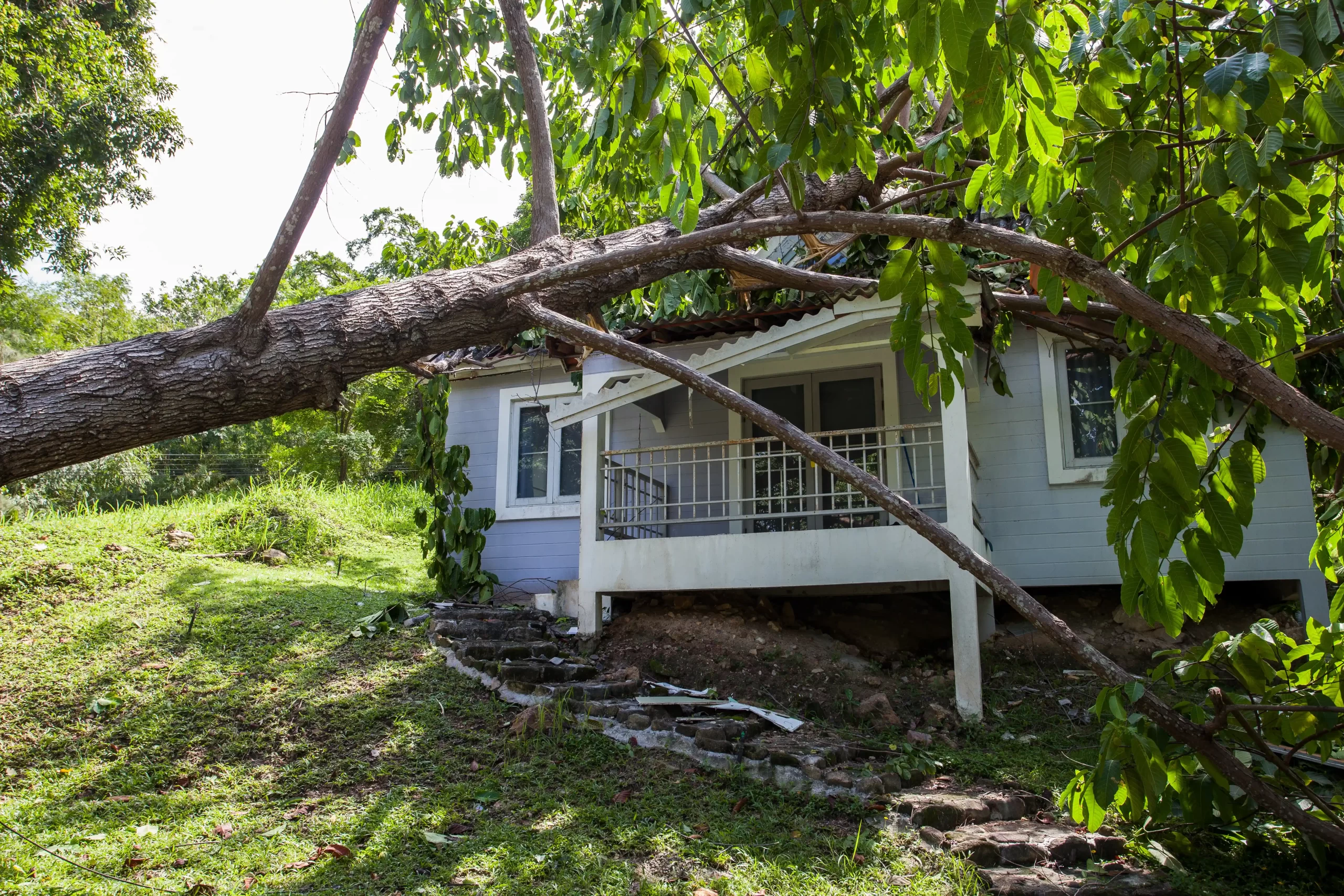 A home with a tree that has fallen on the house during a storm.